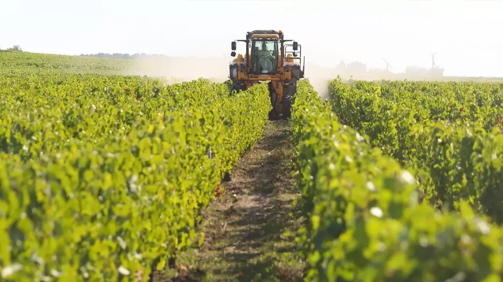 Recrutement agricole et viticole pour TPE PME en Charente Maritime
