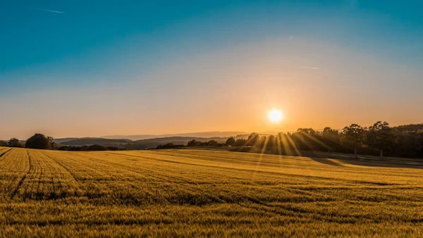 Recrutement métiers agricoles, viticulture et coopératives en Charente-Maritime